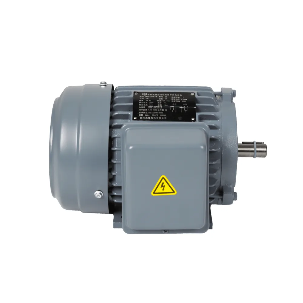 ZF Cast-Iron Single-Phase Dual-Capacitor Motor
