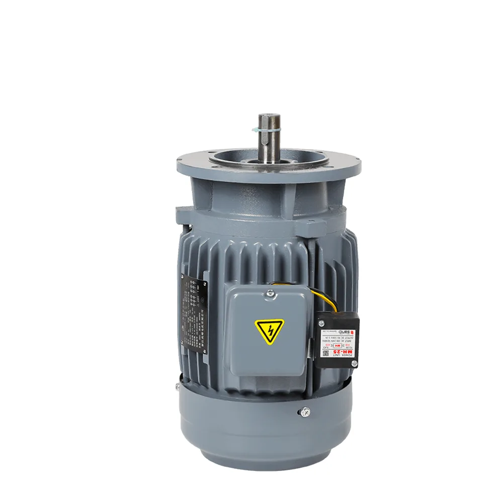 ZF Three-Phase Vertical Brake Motor